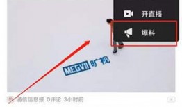 梨视频爆料费多少钱,揭秘巨额费用背后的真相